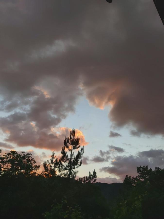 Vila Eva Meduvrsje Bagian luar foto