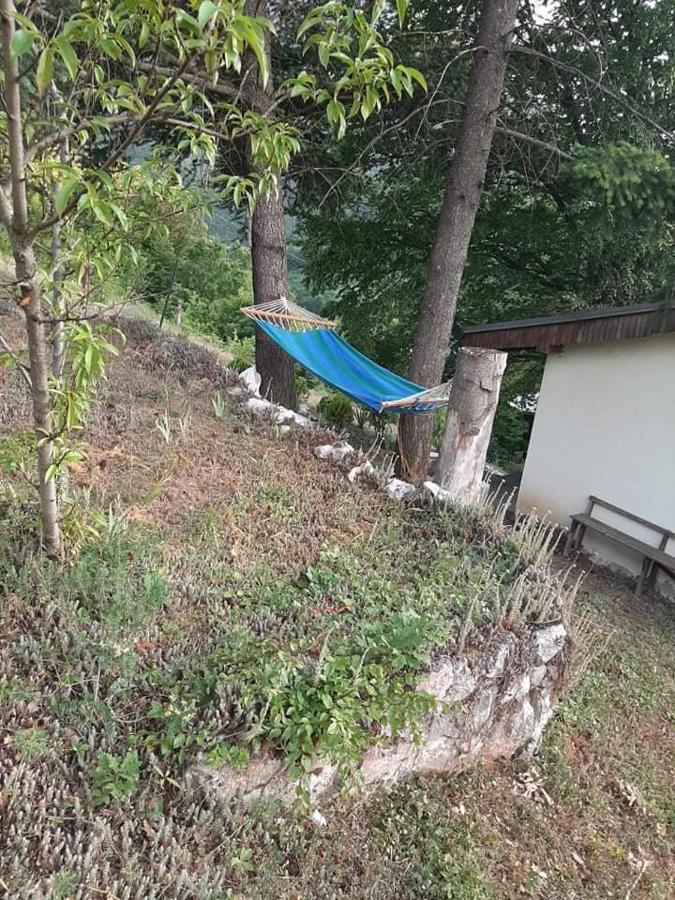 Vila Eva Meduvrsje Bagian luar foto