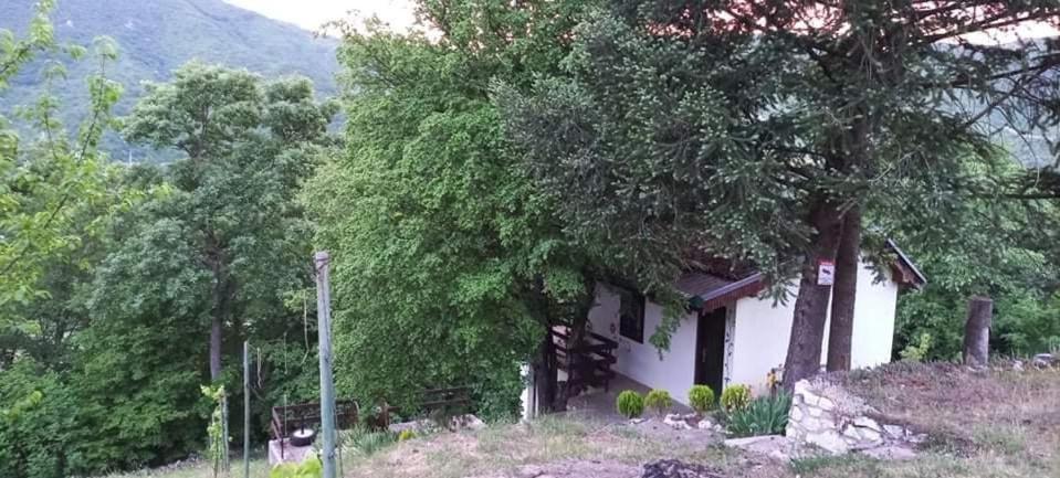 Vila Eva Meduvrsje Bagian luar foto