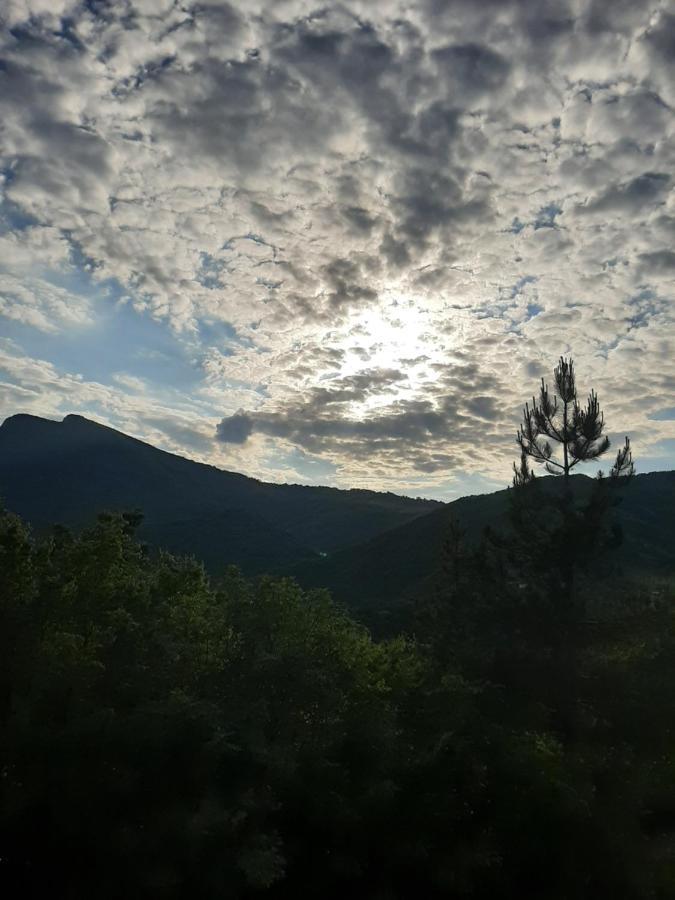 Vila Eva Meduvrsje Bagian luar foto
