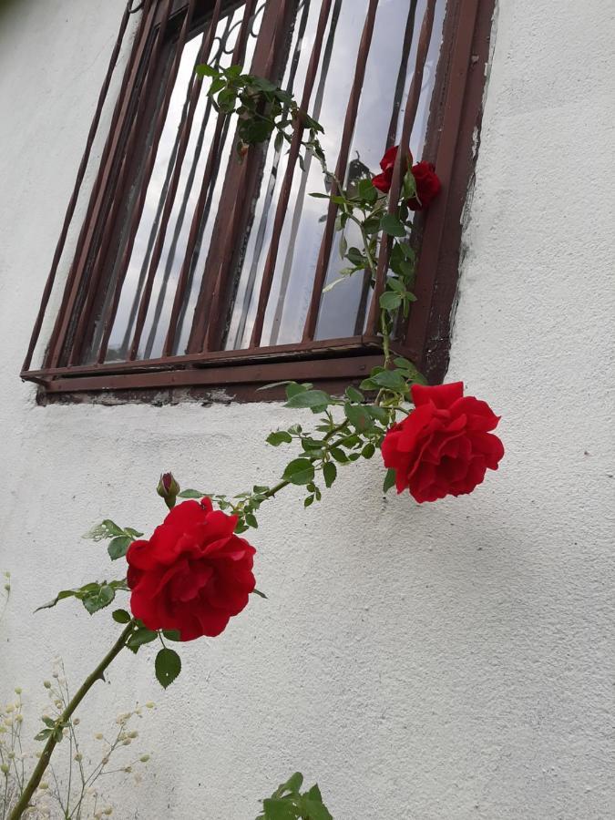 Vila Eva Meduvrsje Bagian luar foto