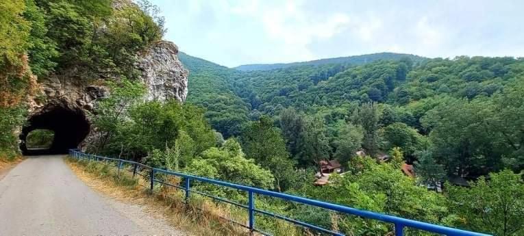 Vila Eva Meduvrsje Bagian luar foto