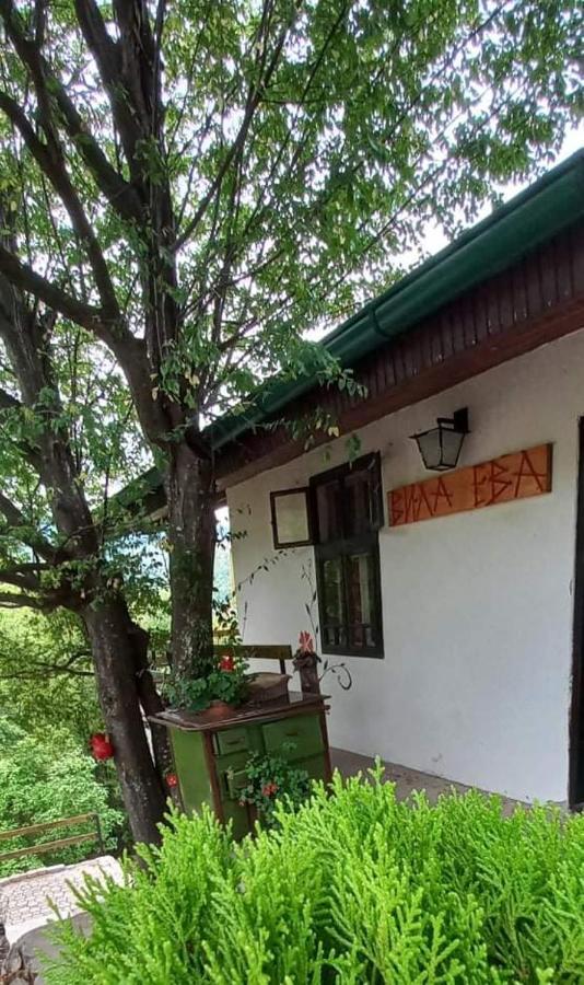 Vila Eva Meduvrsje Bagian luar foto