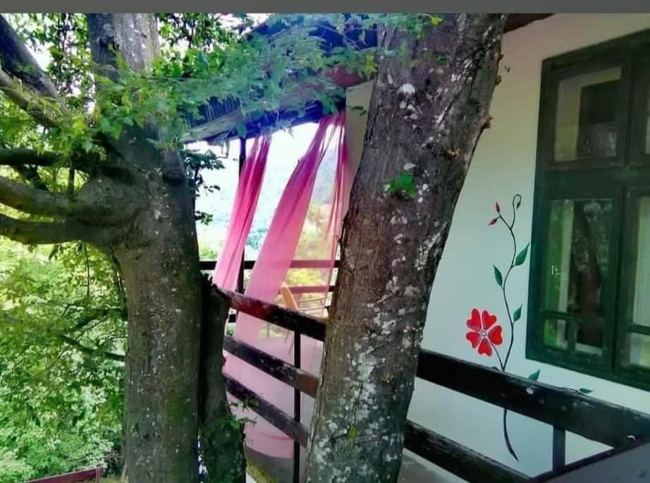 Vila Eva Meduvrsje Bagian luar foto
