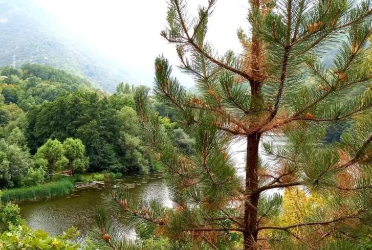 Vila Eva Meduvrsje Bagian luar foto