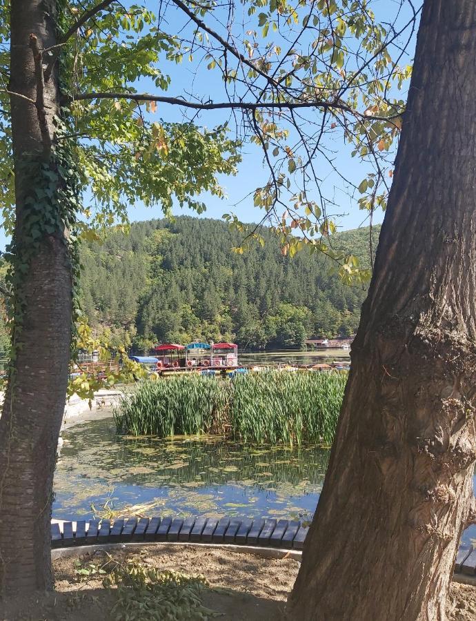 Vila Eva Meduvrsje Bagian luar foto