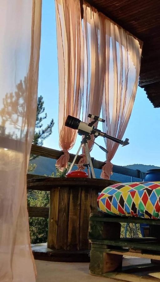 Vila Eva Meduvrsje Bagian luar foto